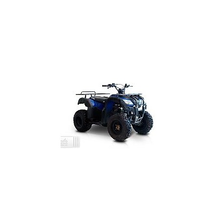 Izuka Motos Beast 150