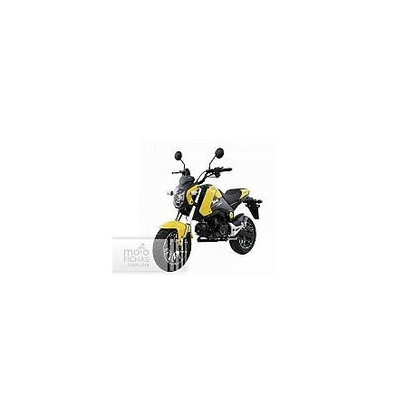 Dinamo Monkey 125